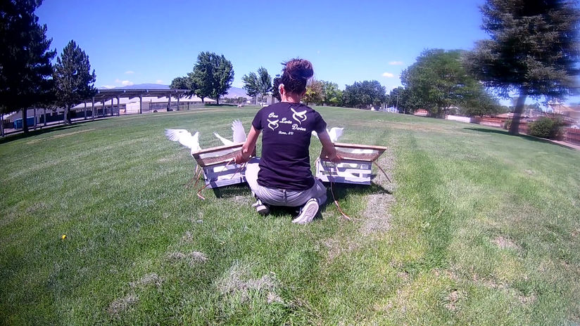 Happy Pride One Love - Dove Release June 28 2020